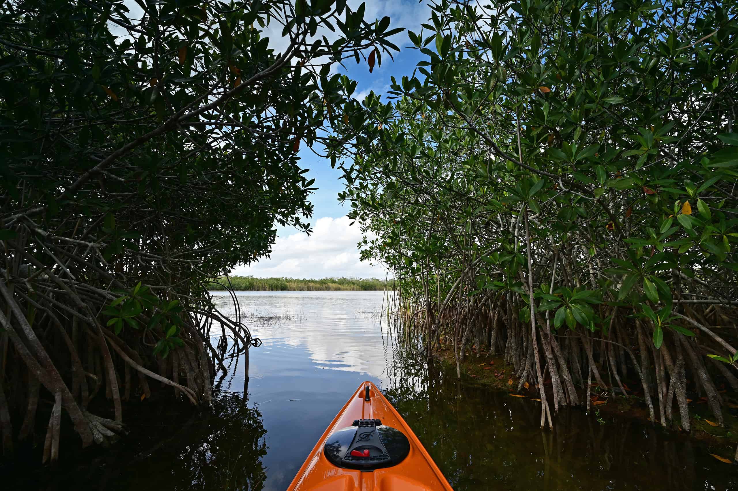 Kayaking in South Florida